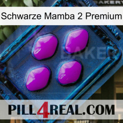 Black Mamba 2 Premium 04
